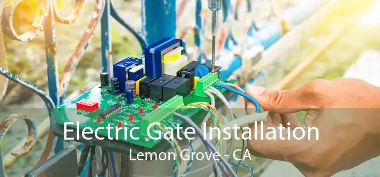 Electric Gate Installation Lemon Grove - CA