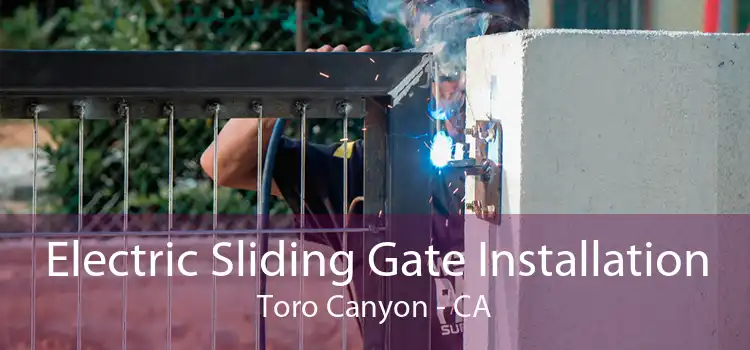 Electric Sliding Gate Installation Toro Canyon - CA